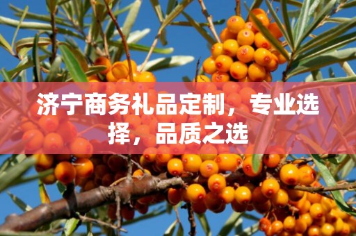 济宁商务礼品定制，专业选择，品质之选