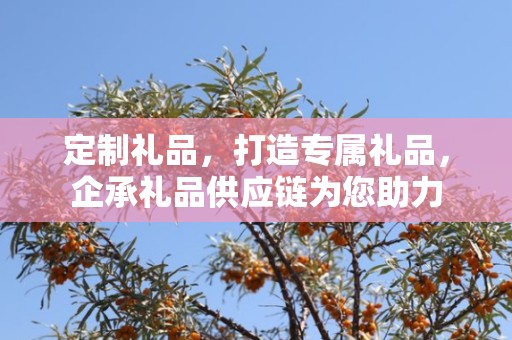 定制礼品，打造专属礼品，企承礼品供应链为您助力